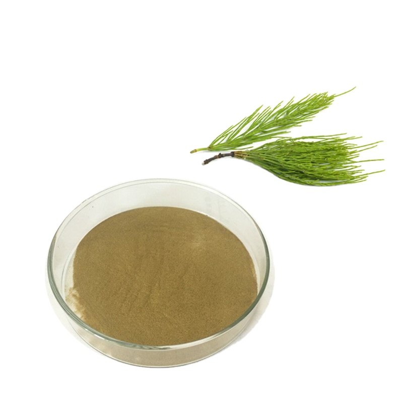 Longze Lab Прямая поставка экстракта конского хвоста Equisetum arvense L.