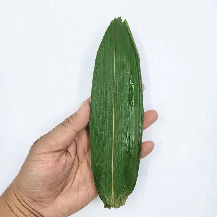 Hand picked Chinese Bulk Hot Selling Organic Fresh Sushi Bamboo Leaves sashimi decoration