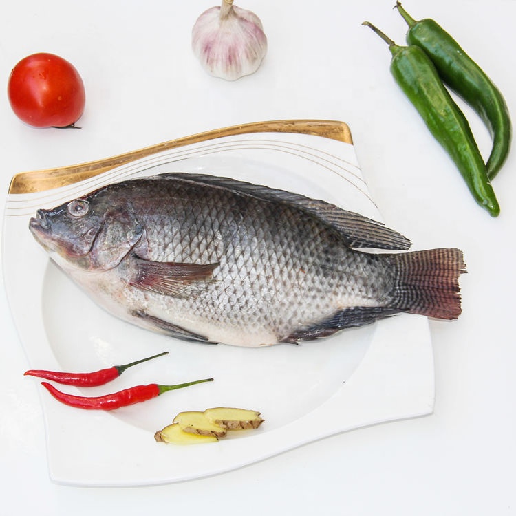 fish companies frozen tilapia
