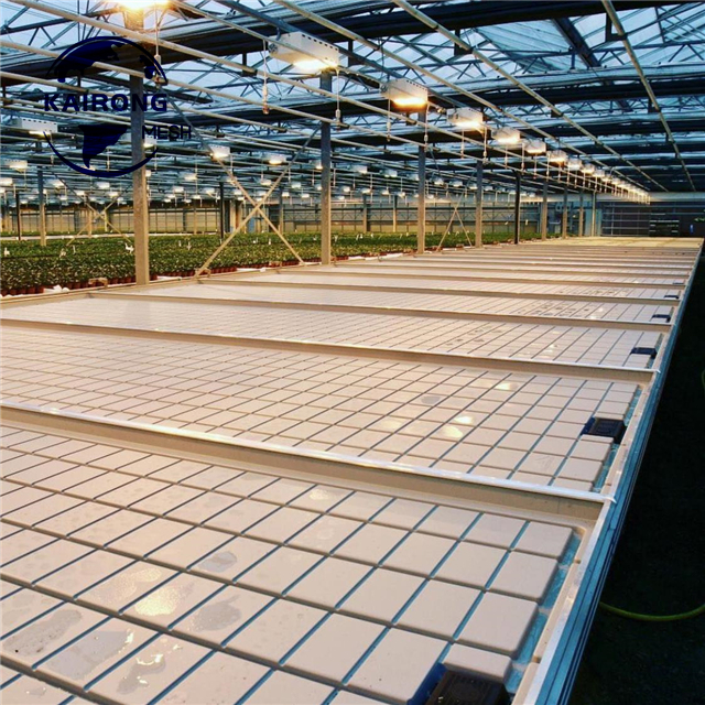 Hot Sale Cheap Price Horticultural Greenhouse Kits For Growing Plants Wire Mesh Top Rolling Bench