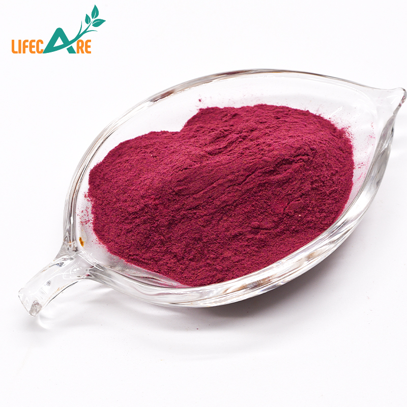 Professional Supply Freeze-dried Probiotics Powder Bifidobacterium Longum Powder Cheap Price