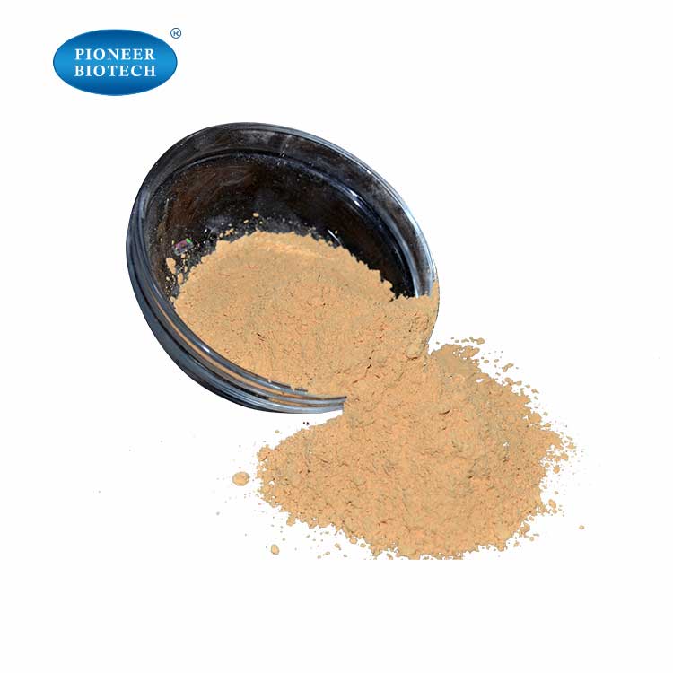 Factory supply 100% organic Goji Wolfberry Extract Powder ISO certificate