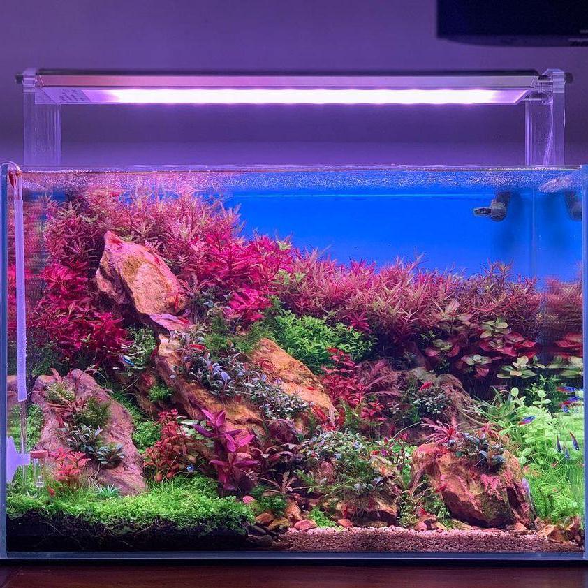 Недели AQUA 45 см Танк APP управления RGB M серии СИД аквариумный свет для Nano для аквариума сree с цикл таймер Nano tank