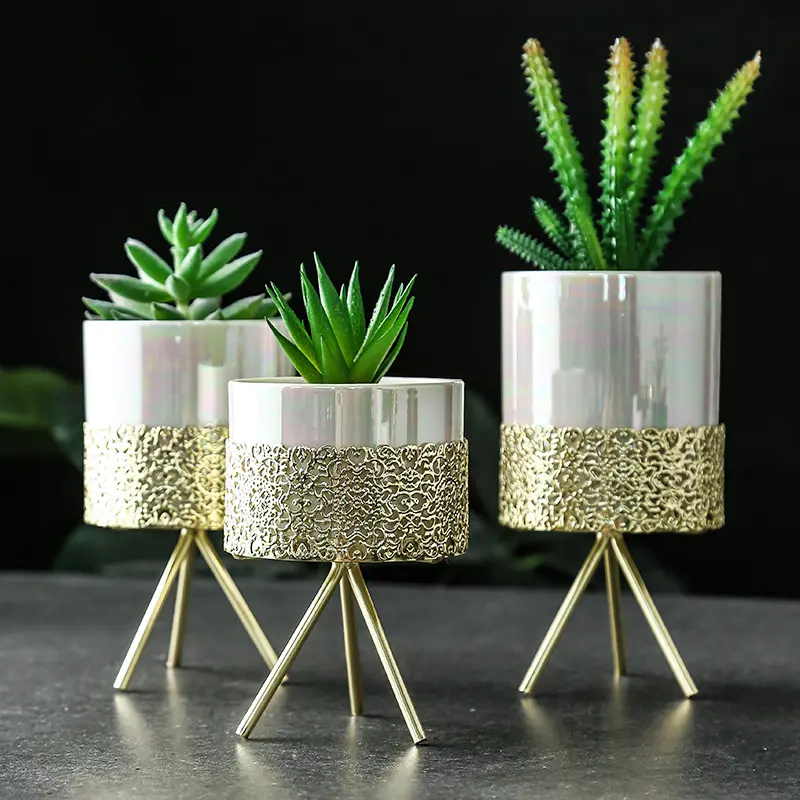 ins gold-plated art succulent green plants simple nordic iron frame ceramic hydroponic flower pot