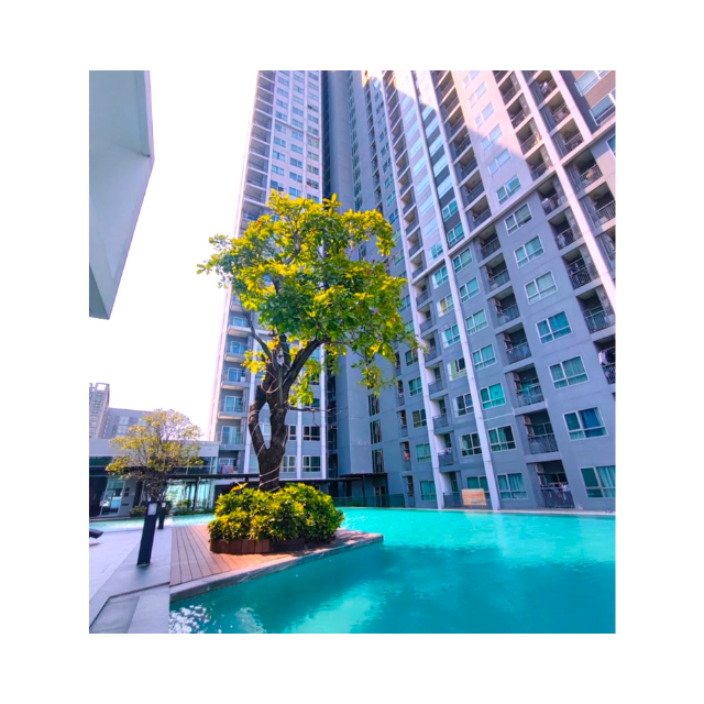 Properties For Sale Condominium 1 Bedroom Property Land Real Estate CondominiumIn Thailand Property Land Real Estate