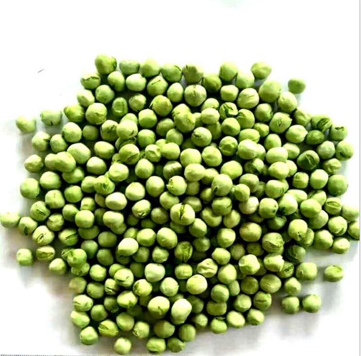Competitive Price IQF Best Quality Frozen Broad Bean
