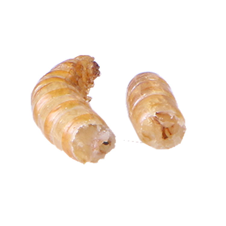 Сохнущий протеин для пищевых продуктов mealworm 57%