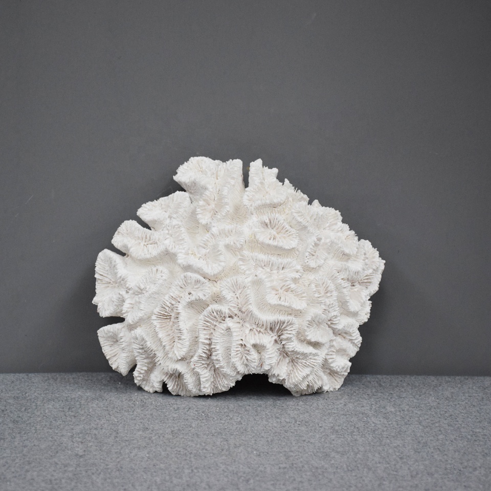 Factory Tabletop Home Decoration Supplier White Resin Coral Sculpture for Aquarium Decoration
