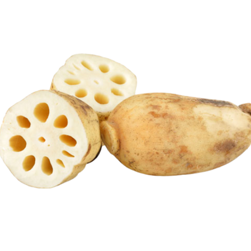 Распродажа! LOTUS ROOT-высококачественная продукция по конкурентоспособным ценам на рынке в 2023 году