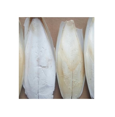 Viet Nam лучшая кость каракатицы