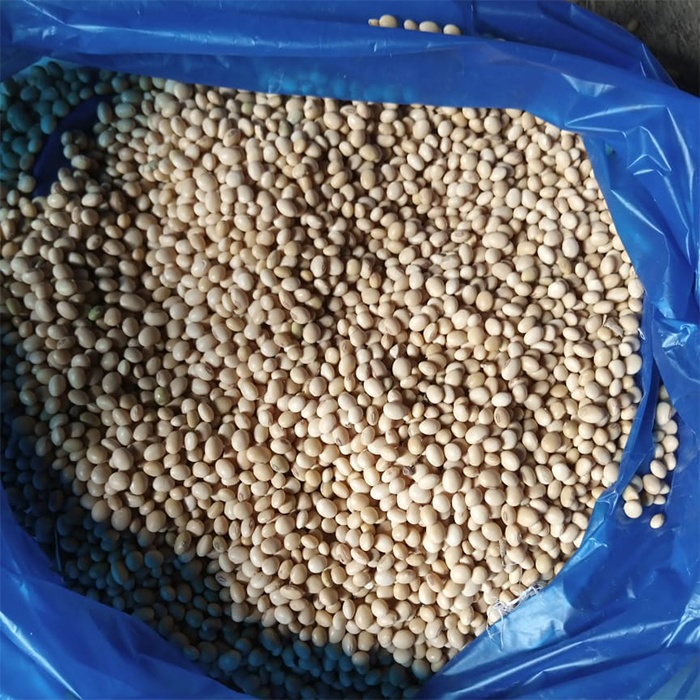 Supply high quality Low Impurity NON GMO SOYBEAN SEED with above specification from BENIN WEST AFRICA cheap soybeans for sale
