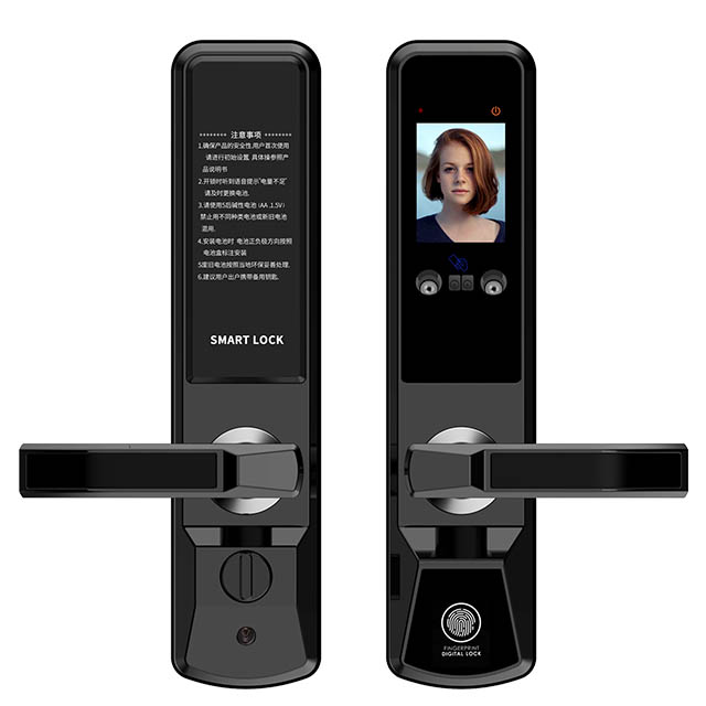 Huarui HR603, умный электрический дверной замок с распознаванием лица, дверной замок с пальмовым принтом, дверной замок с защитой от кражи, домашний дверной замок для контроля доступа к вилле