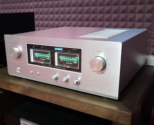 E-600 встроенный усилитель HIFI HI-END, домашний усилитель класса A 180 Вт + 180 Вт NJW1302/NJW3281 * 8