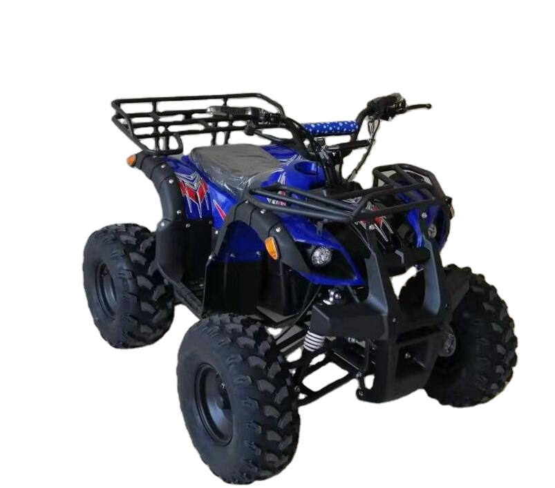 1500w 4 колеса вождения взрослых Электрический квадроцикл 4X4 квадроцикл