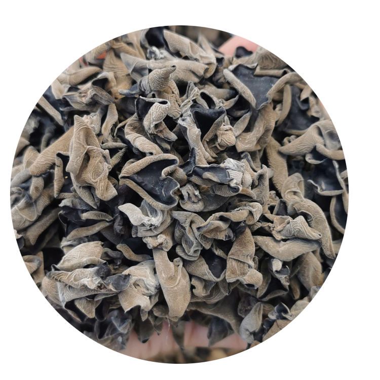 Natural Product Black Edible Fine Cut Vietnamese Longevity Mushroom for Cooking Shiitake Mushroom Wood Ear Mushroom