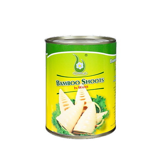 Good Quality Factory Sale Various Special Hot Selling Canned Sliced Bamboo Shoots