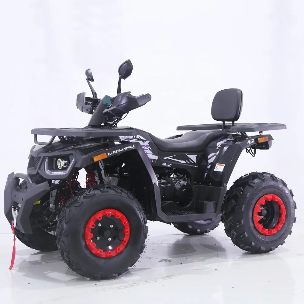Tao Motor Hot Sales 200cc 4 wheeler side by sides 4x4 quad bike with CE EPA ECE certificate