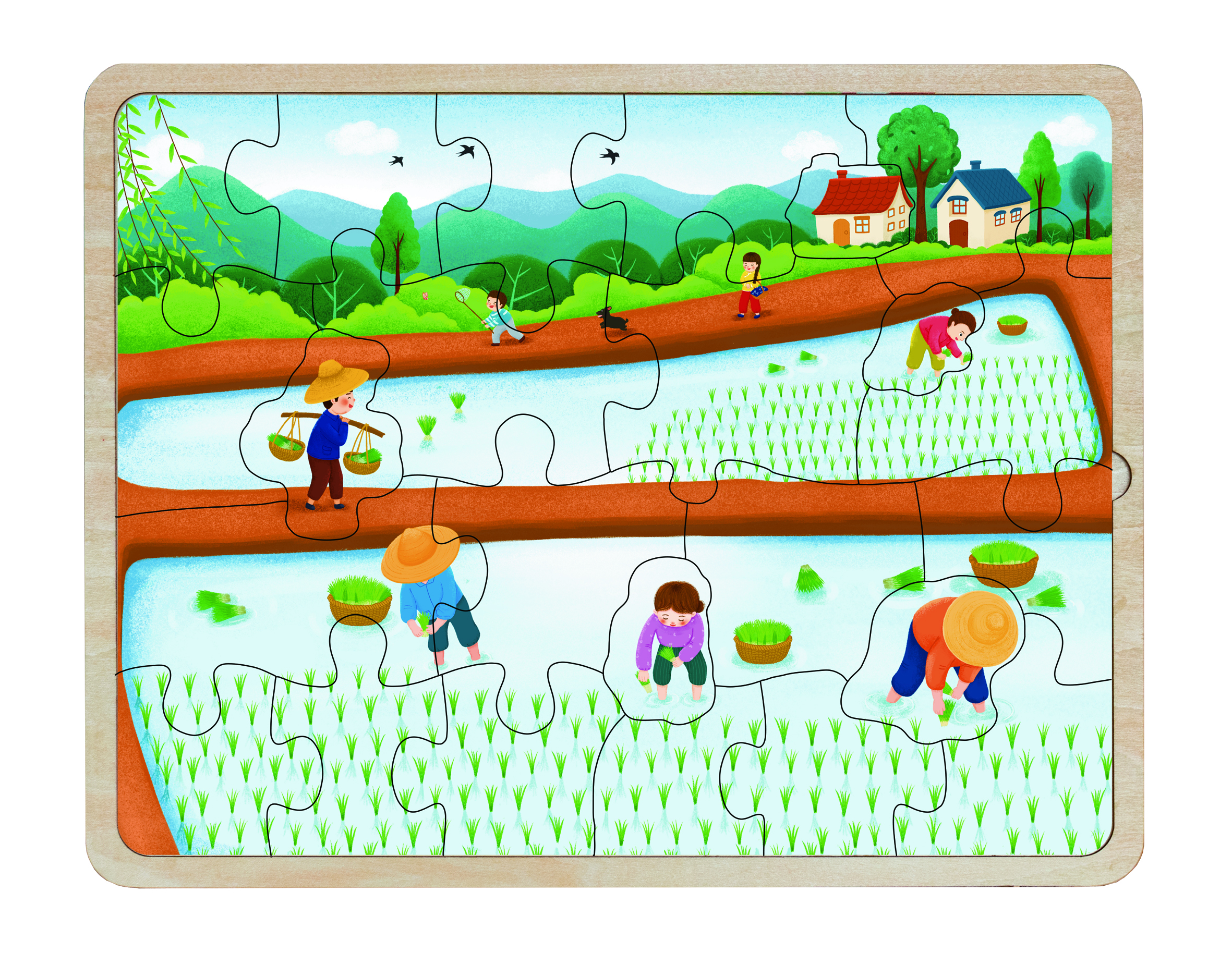 Multilayer Educational Agricultural Wood Puzzle for Growing Rice Toy for Learning about Rice Farming