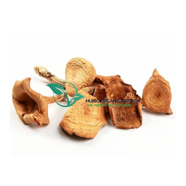Сухой гриб nameko
