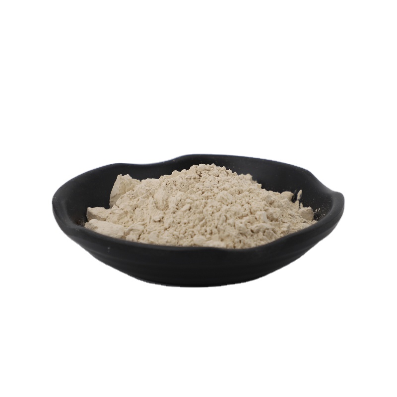OEM/ODM Soy Protein Isolate Raw Materials Textured Soy Protein Slice Daily Support Textured Soy Protein Slice For Cooking