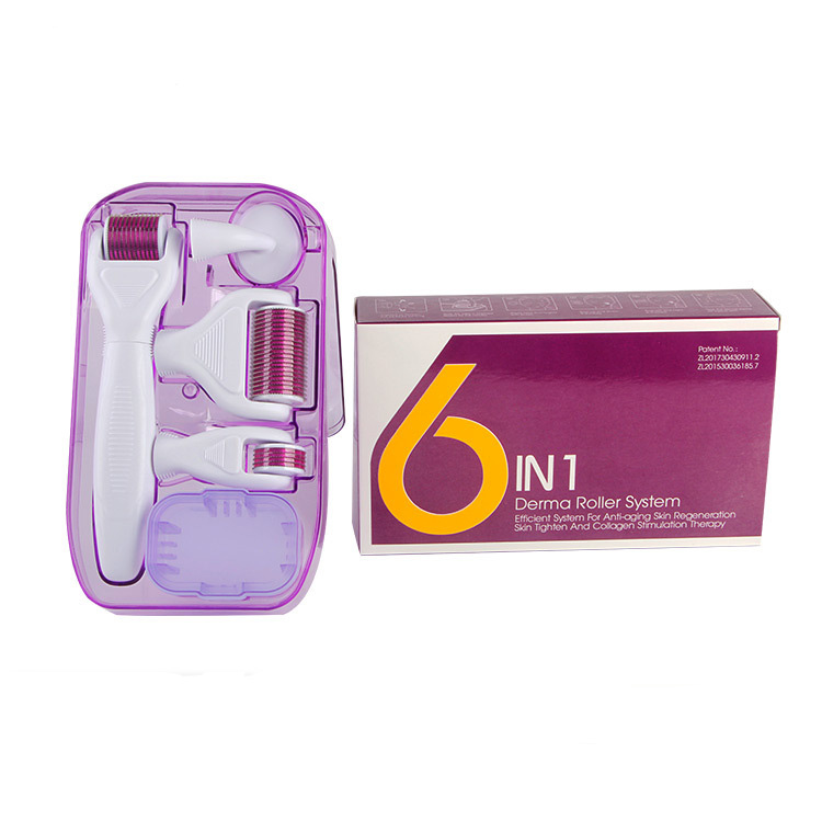 Тело Derma ролик 6in1 Microneedle Derma ролик Титан микро иглы ролик