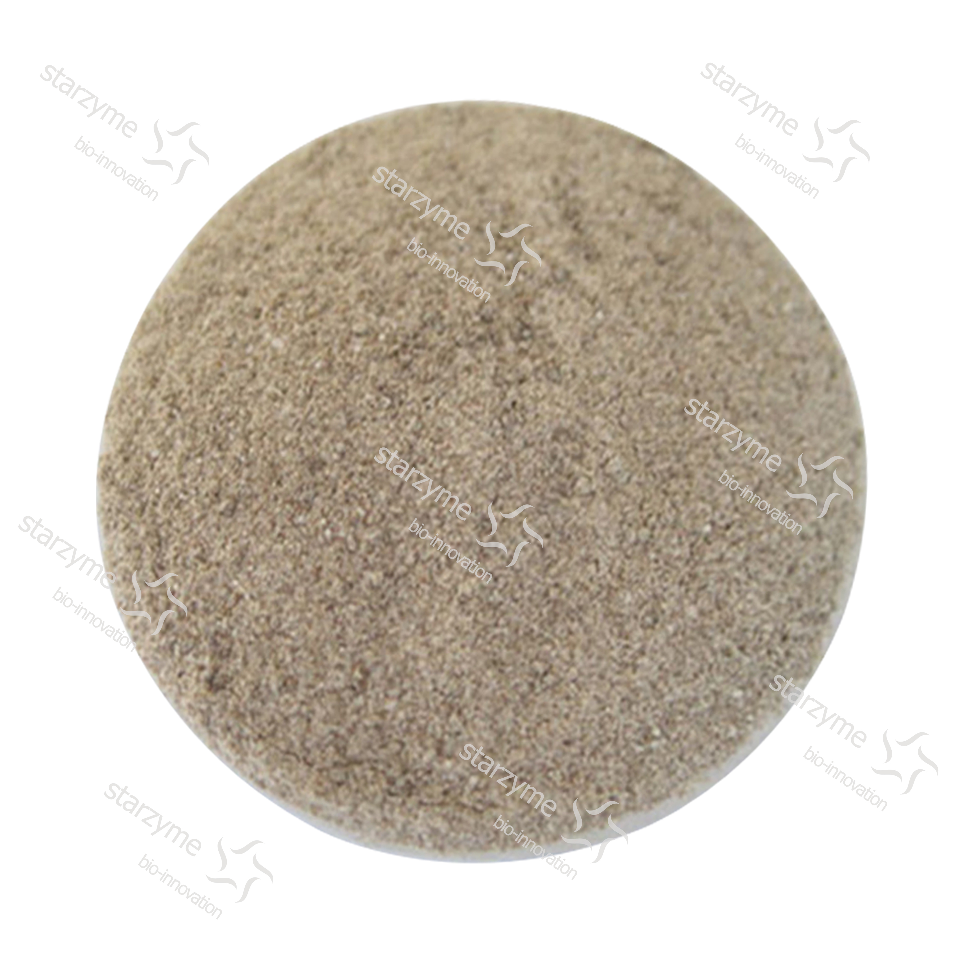 High Efficacy Glucose Oxidase Enzyme Powder
