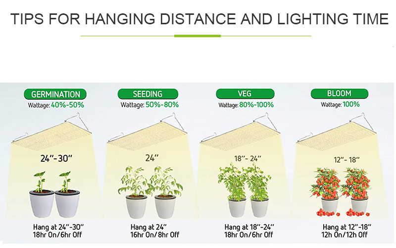 Free Assembly New Products For Horticulture Vertical indoor Farming bloom led grow light