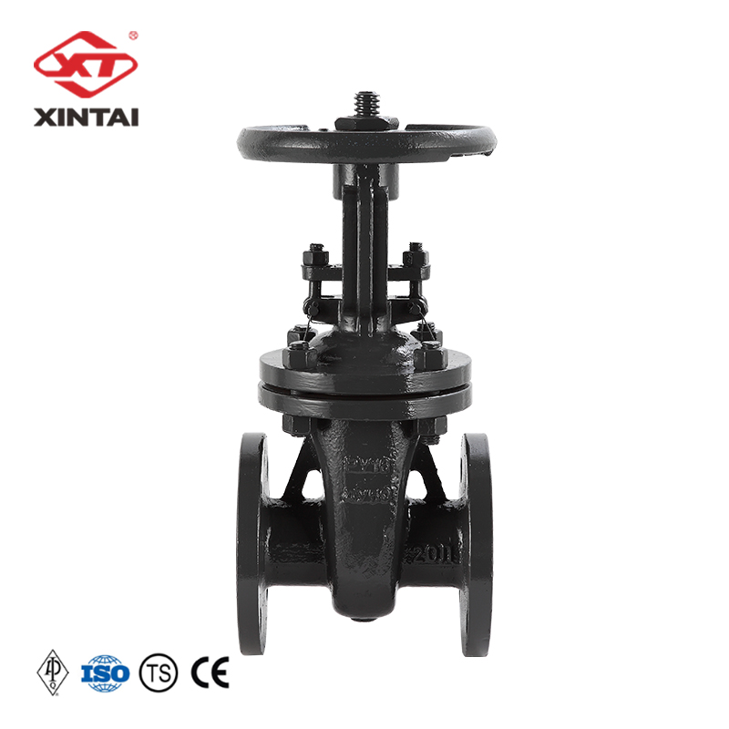 customizable GOST Gate valve Z41H-16C Reduced diameter DN50 Cost-effective