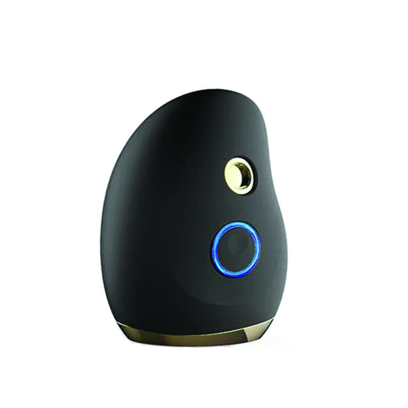 Useful skin care cleansing spray facial moisturizing device cute mango-shaped facial nanotechnology sprayer