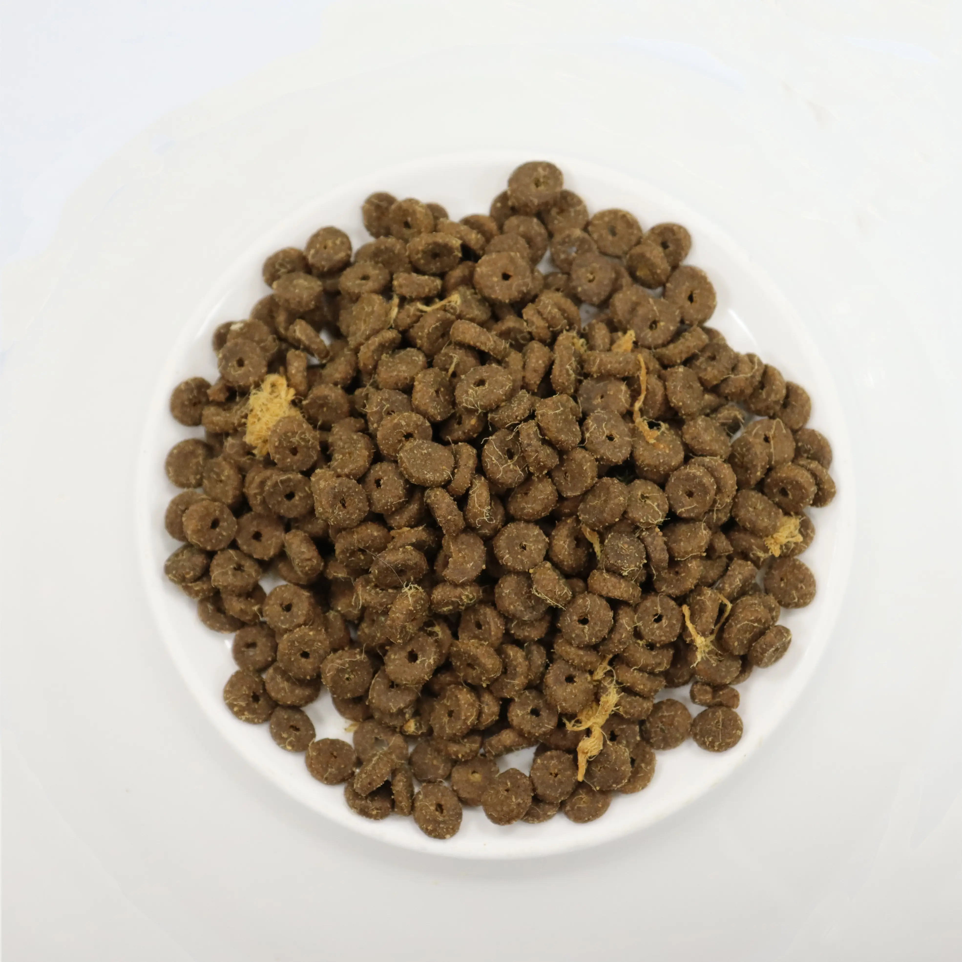 animal feed for dogs