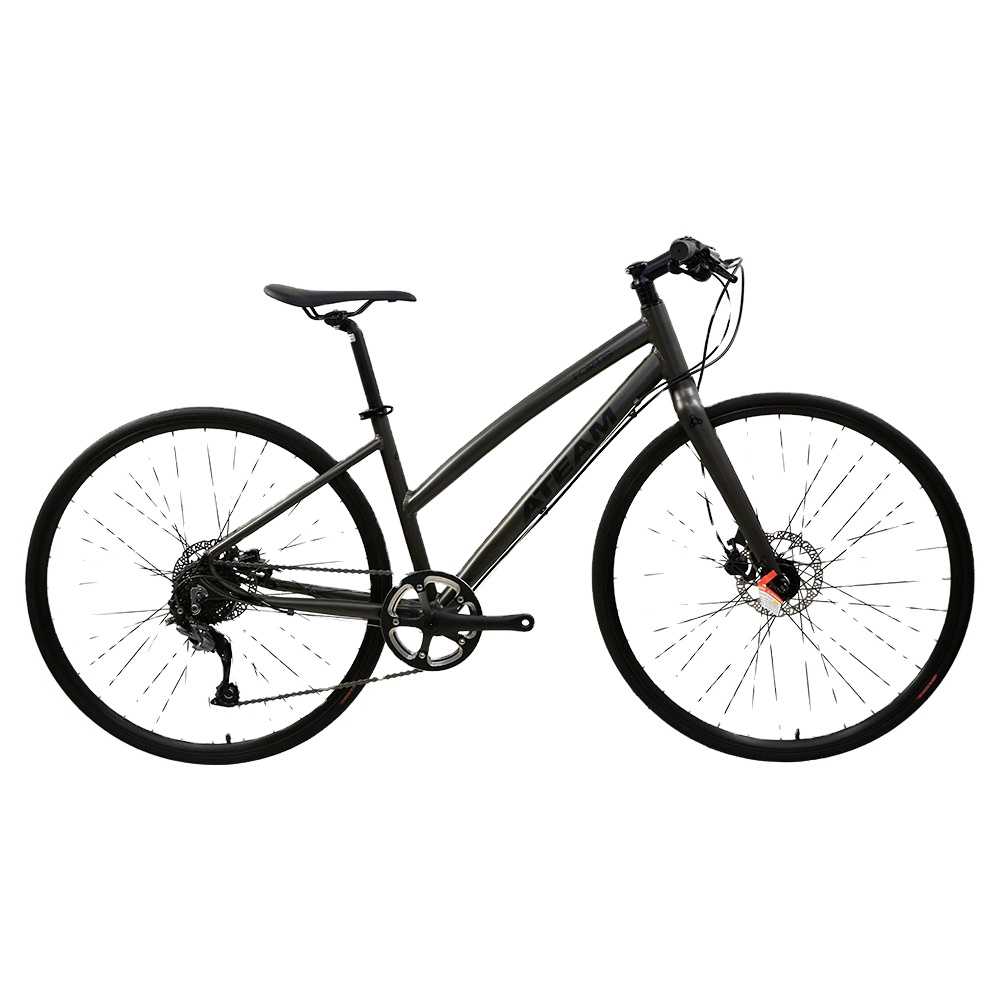 Гибридный велосипед FS1-Special 700C 9 скорость ALIVO дамы, для спорта, для катания на велосипеде, Конференции велосипед