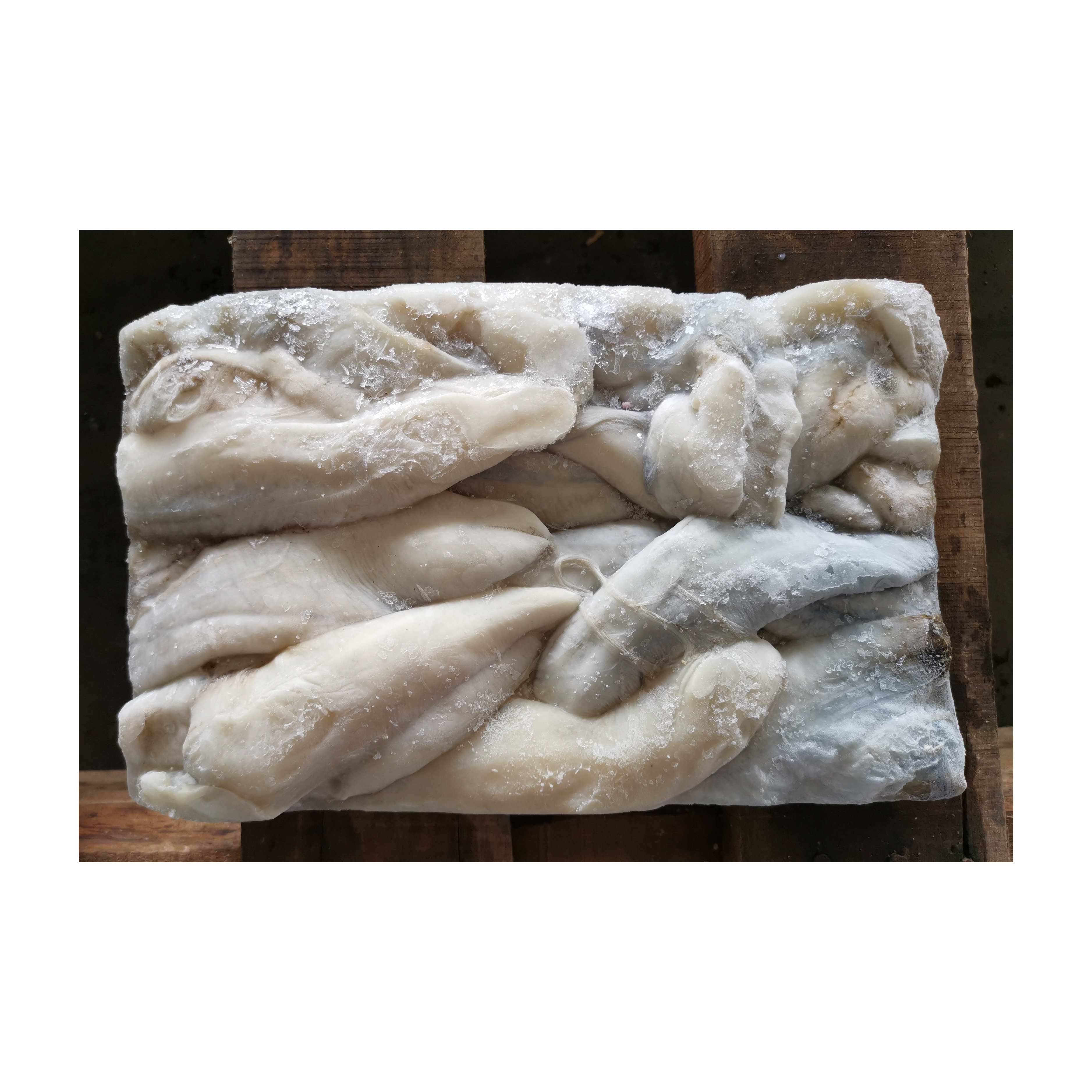 Икра кальмара, новые замороженные яицы кальмара BQF, гигас, для продажи, белые икры