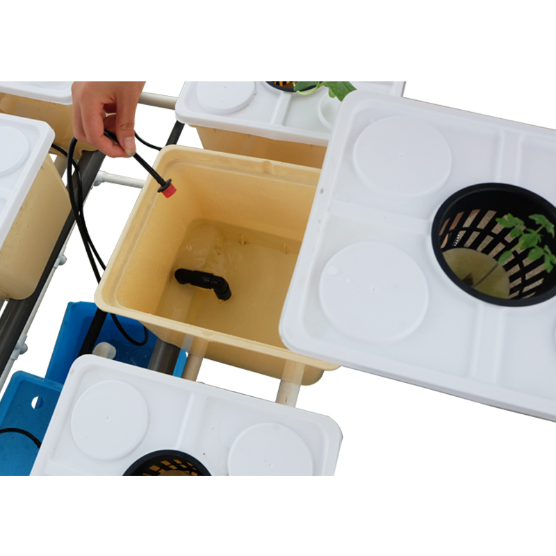 Dutch Bucket for Greenhouse Hydroponic Growing Systems