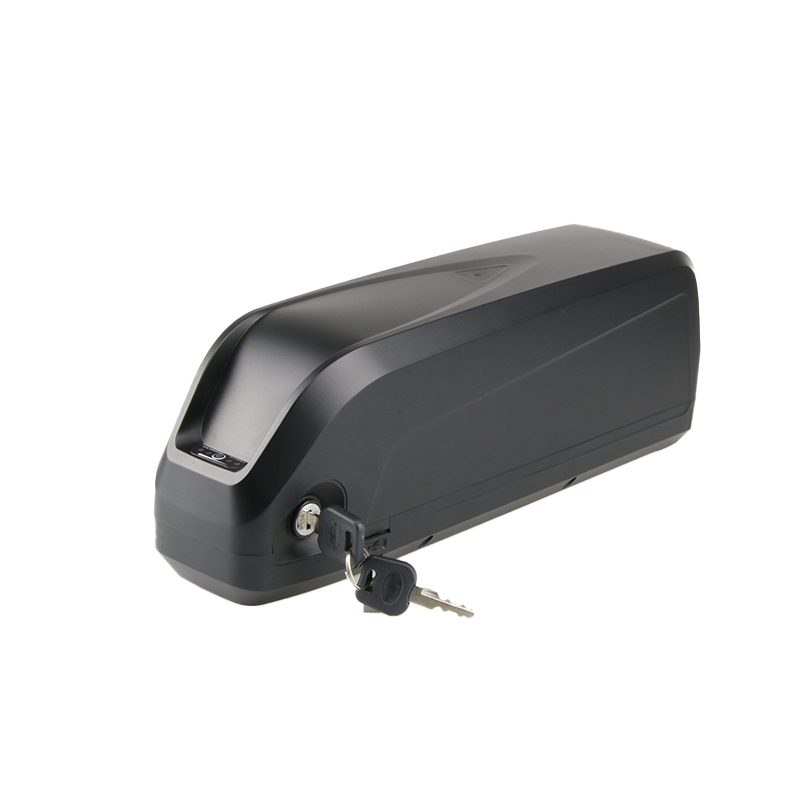 Factory Direct Supply 48V 18Ah lithium ion battery for electric bicycle hailong battery