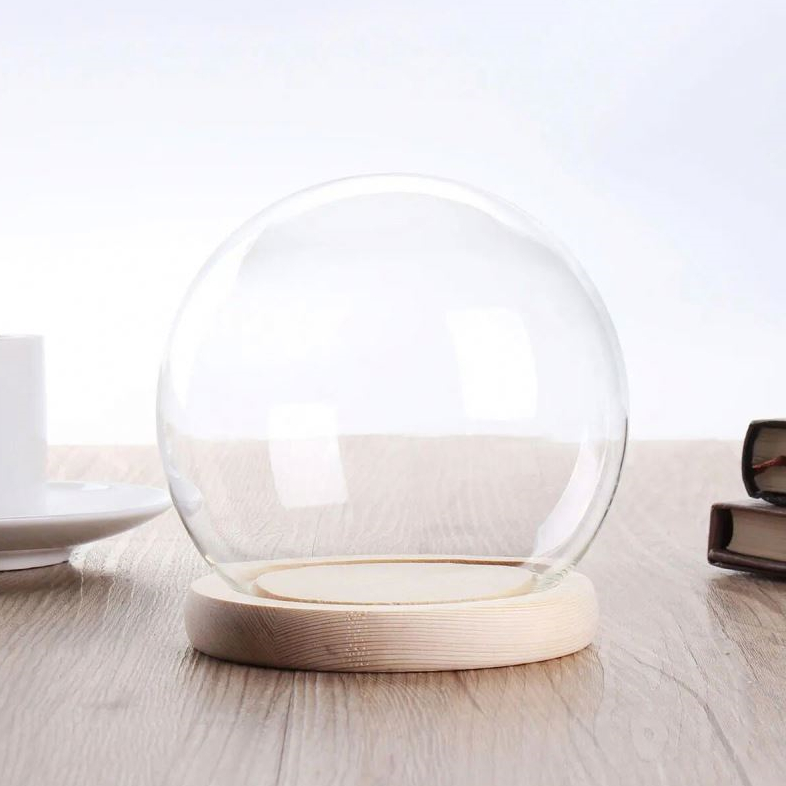 Round Decorative Transparent Globe Glass Ball Dome with Wooden Base Cloche Bell Jar