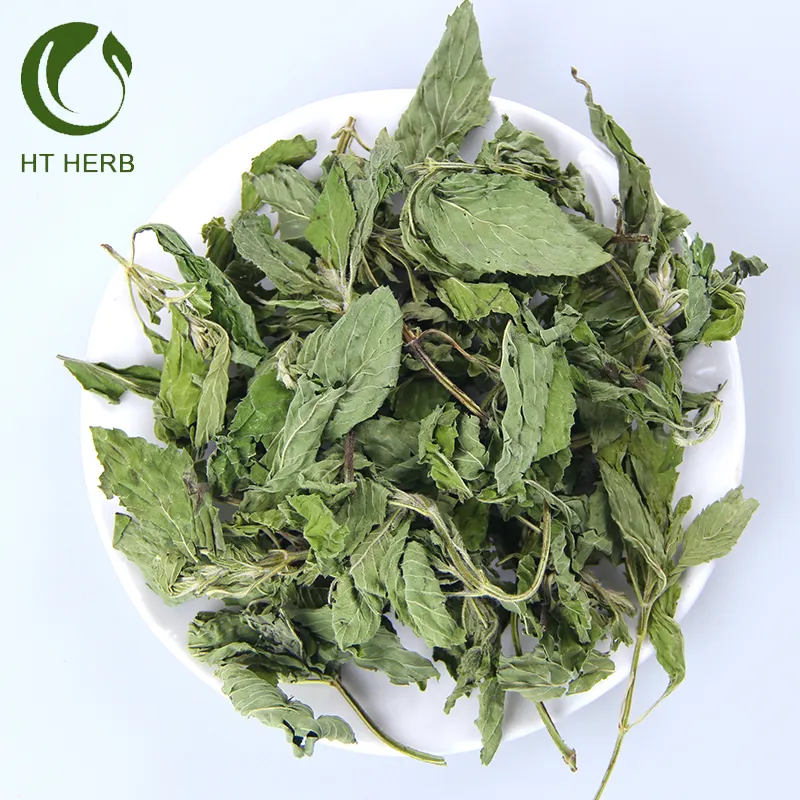 Mint Leaves Newly Harvested Dried Herbs and Dried Peppermint Tea
