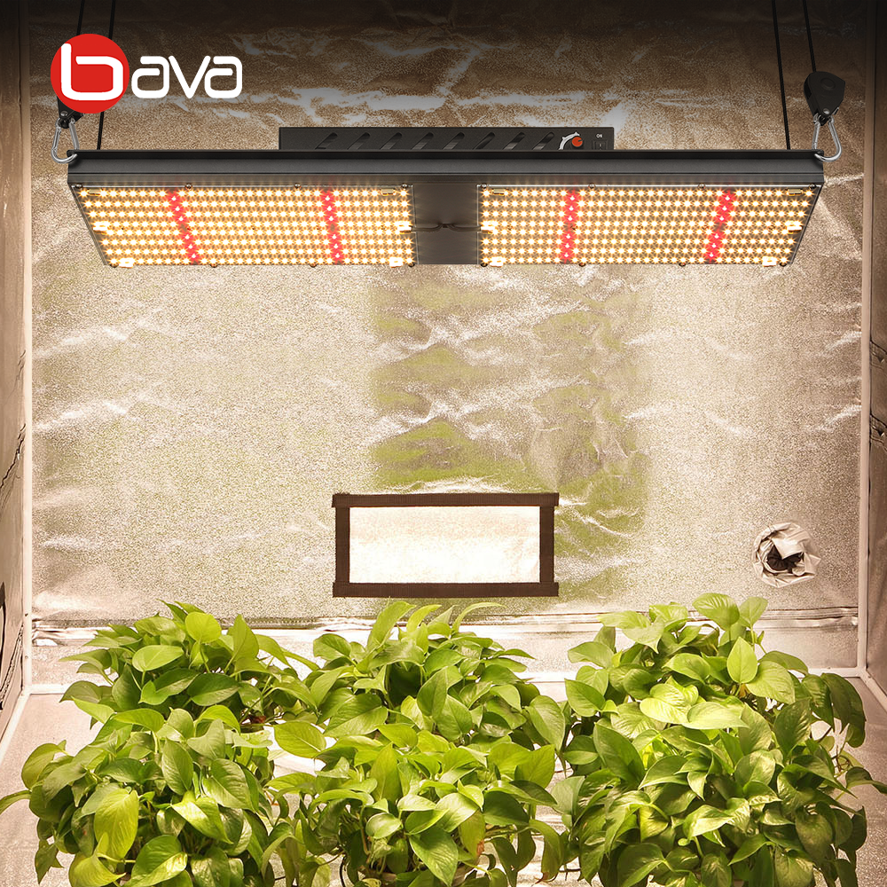 Bava обновленная V4 комнатное растение горшки 240w Светодиодная лампа, для выращивания растений, с широким диапазонном! lm301h микс красный 660nm завод свет огни для клон