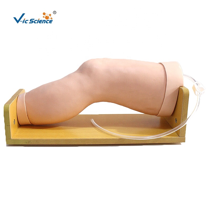 Knee Intra-Articular Manikin Model for Injection Training Medical Science Simulation