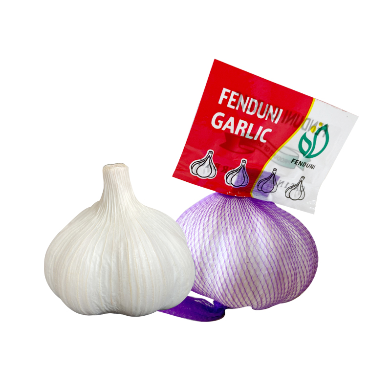 Import Fresh Garlic (White Garlic/Red Garlic) from China Cheap Price