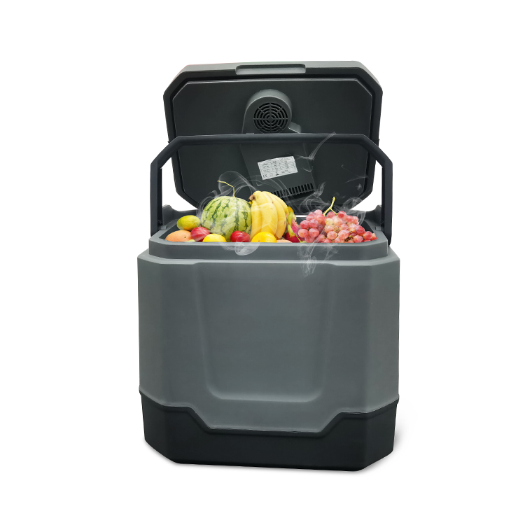 High Quality 33 Litre Car Refrigerator Fruits and drinks Box Car Fridge