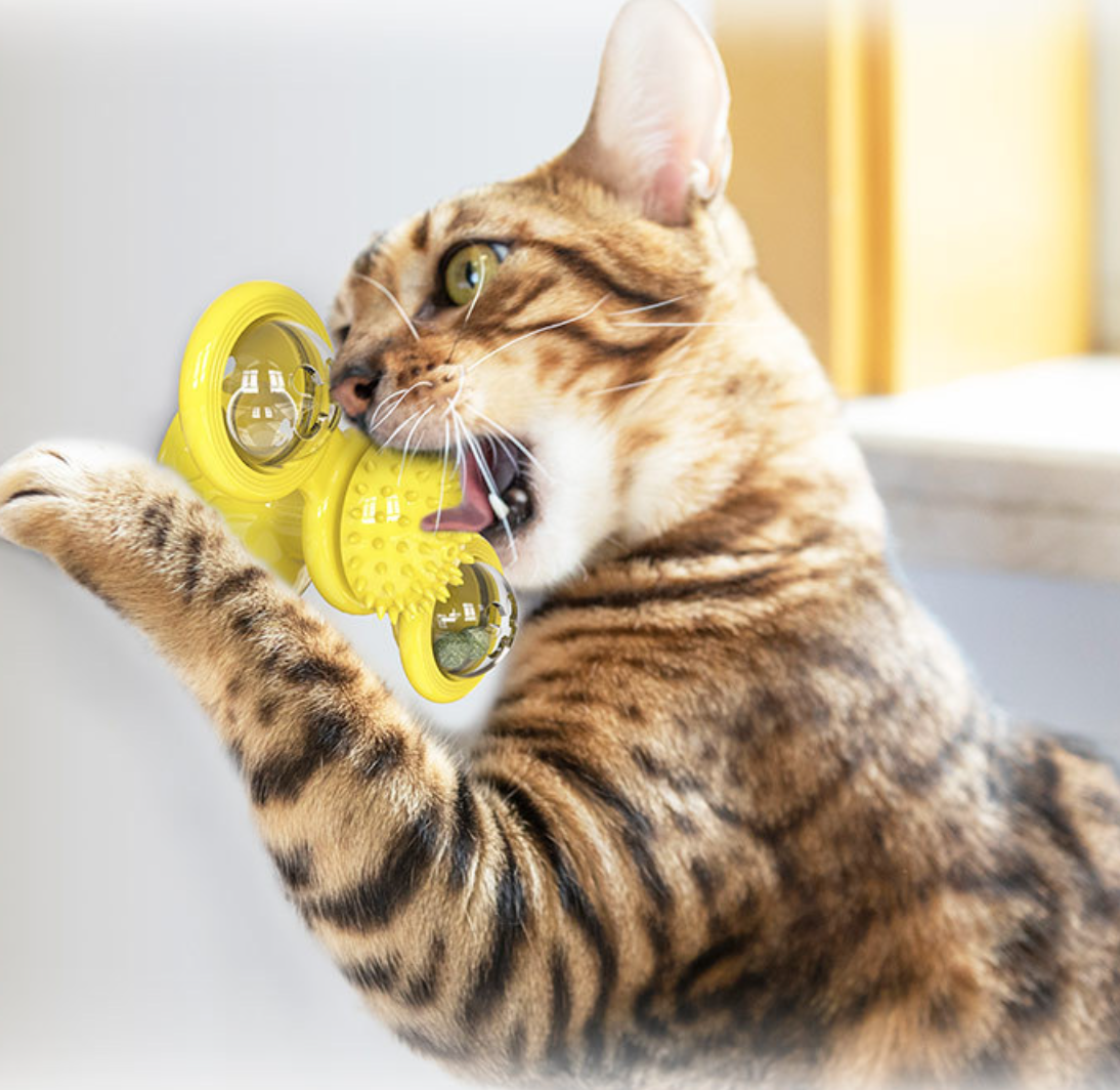 Amazon Hot Selling TPR Windmill Cat Interactive Toys for Playing