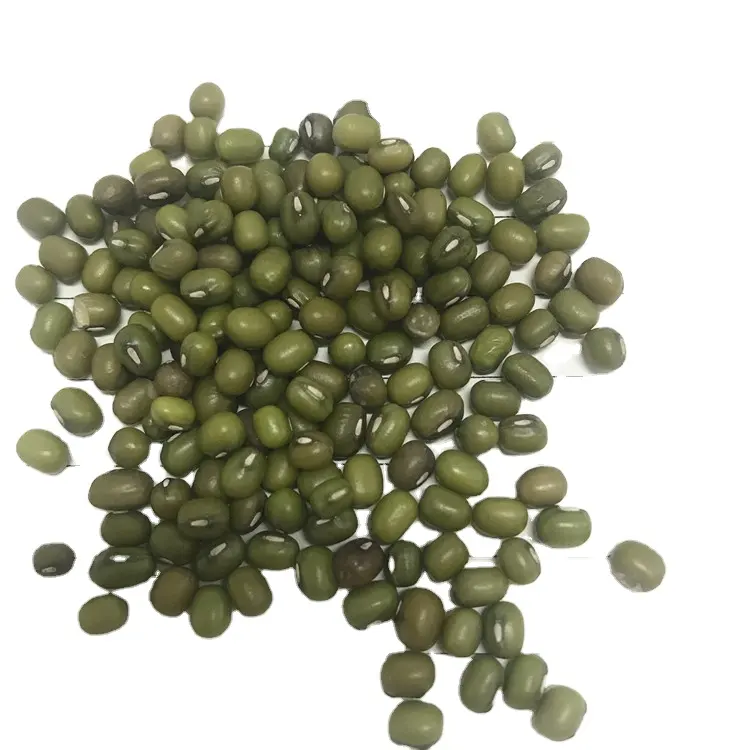 2.5-3.25 mm Sprouting Grade Green Mung Bean For Vietnam Market