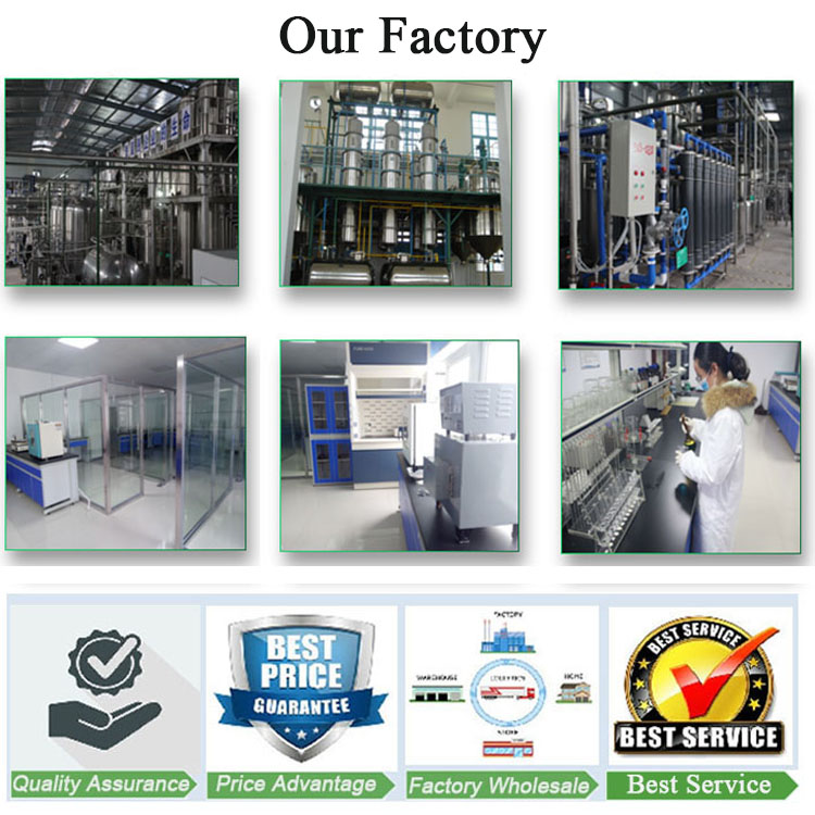 Free sample Factory Supply Food Grade Organic Country Almond/ Sea Almond/ Terminalia Catappa Leaf Extract Powder 10:1 Bulk