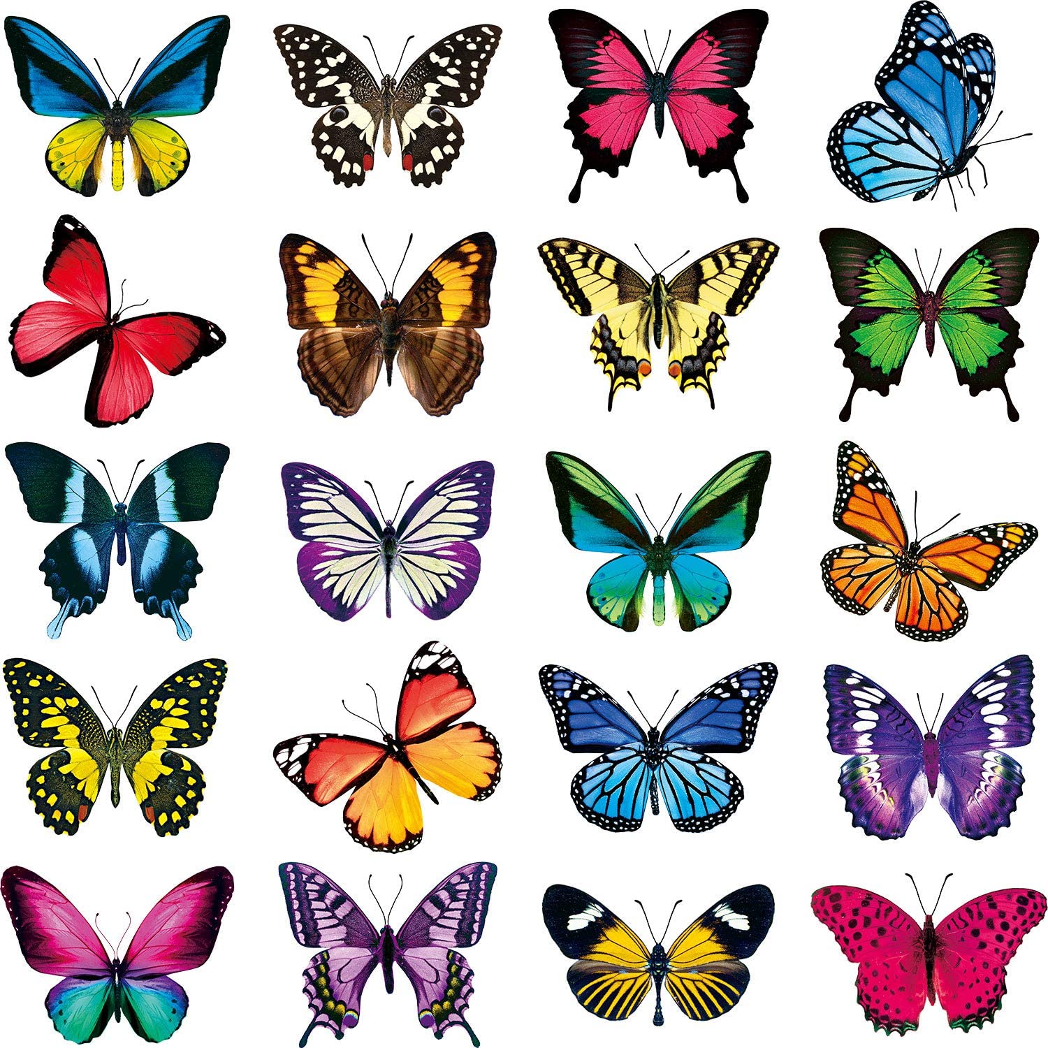 20 Pieces Butterfly Window Clings Anti-Collision Window Clings Decals Non Adhesive Vinyl Cling Butterfly Stickers Cling Decor