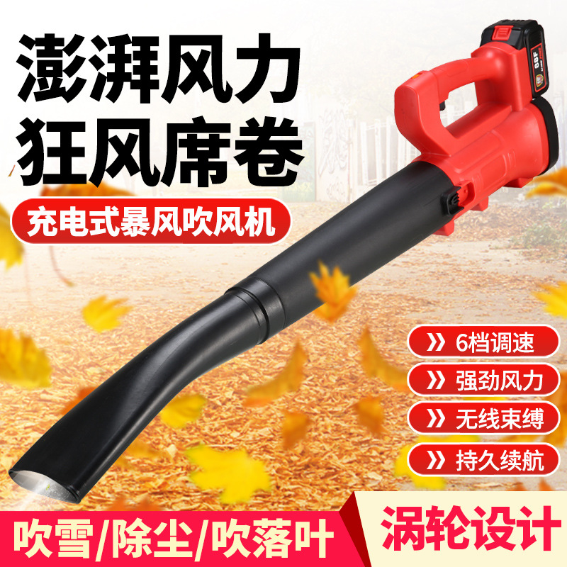 High power portable motor industrial heavy duty wind 6 speed control garden leaf blower machine car dust winter snow blower