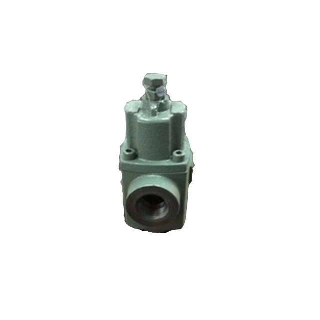 China OEM DN 25 Bypass Valve for Lpg Station