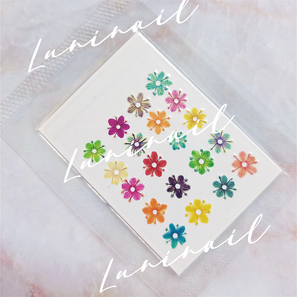 New product nature dried flowers for nail art pressed nature flower for nails nail dried flowers