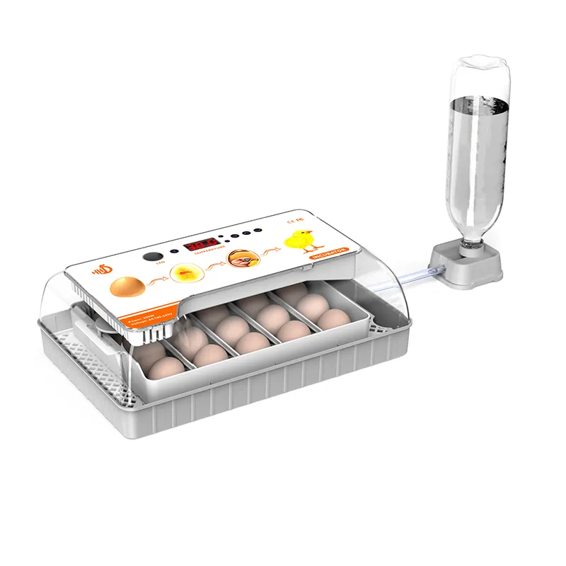 HHD OEM Available RoHs Automatic 12 Reptile/Quail/Chicken Egg Incubators Hatching Machine
