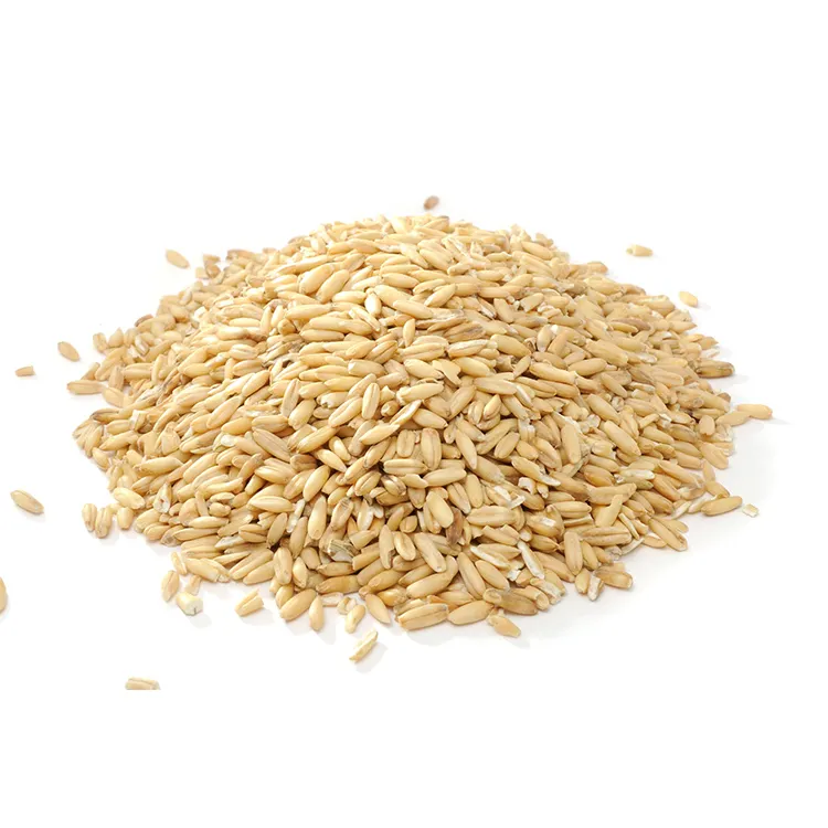 New crop organic oat peeled