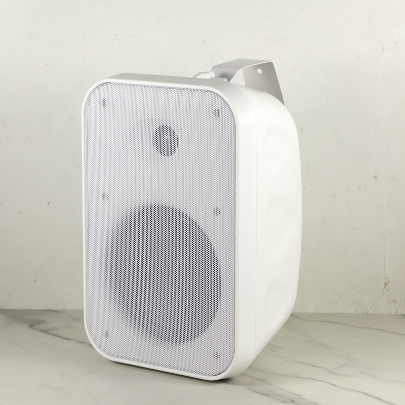 DUAL USE Speaker Hi-Fi Professional Audio Video Speaker pa System Wall Mount Speaker